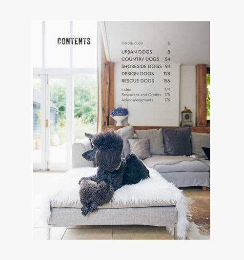 Cool Dogs, Cool Homes