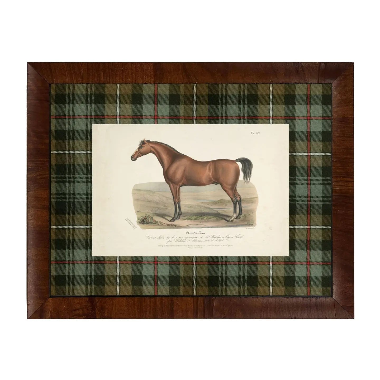 Vintage Horse Bookplate D Matted in Green and Brown Tartan