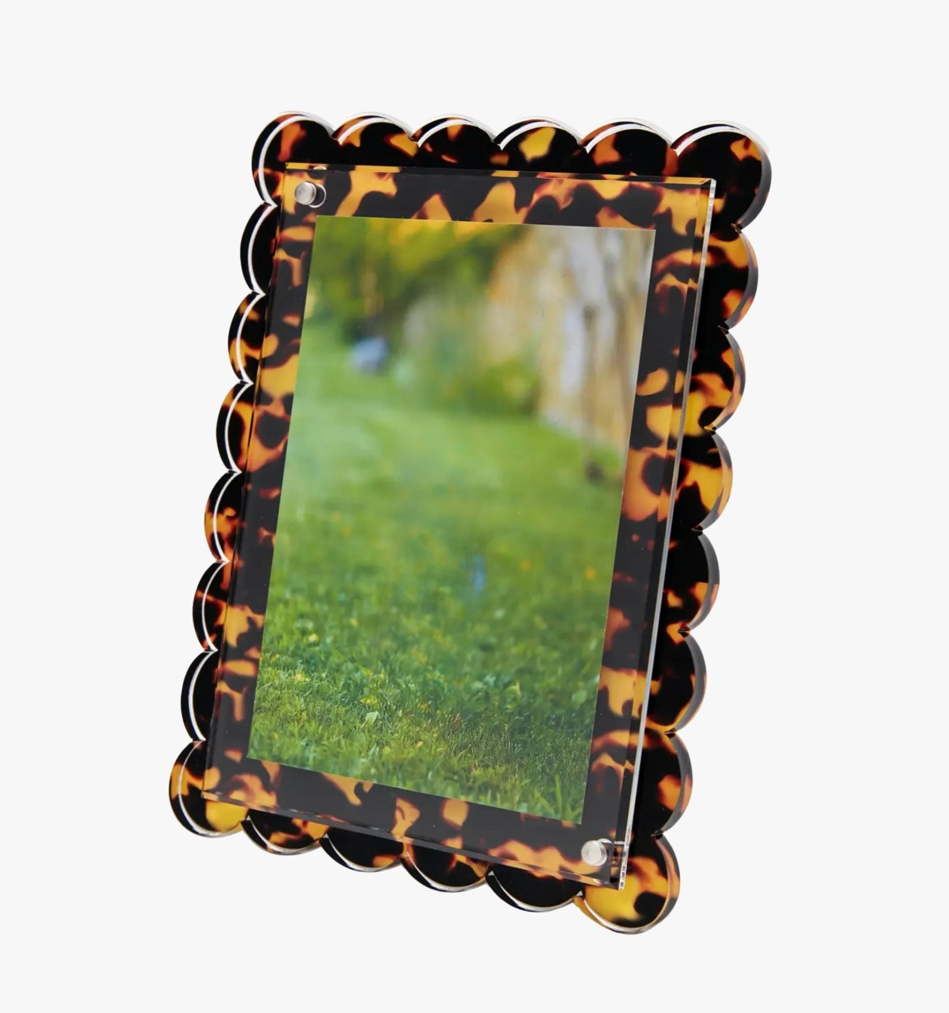 Scallop Frame - Tortoise
